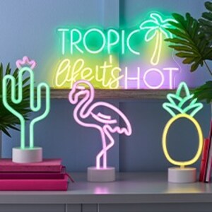 Neon tabletop lighting in Cactus, Flamingo and pineapple shapes
